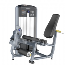 leg extension rotary torso machine