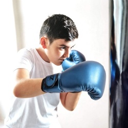 Boxing gloves